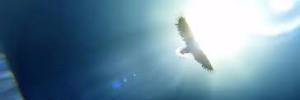 sin98372284_sin's profile banner image