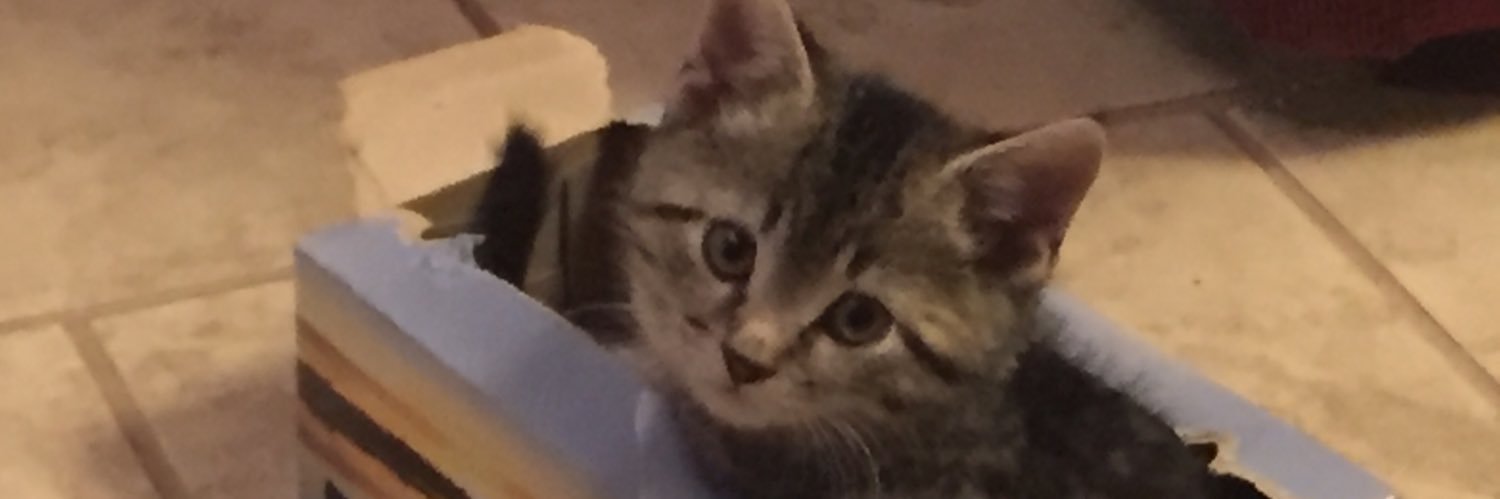 skdflf's profile banner image
