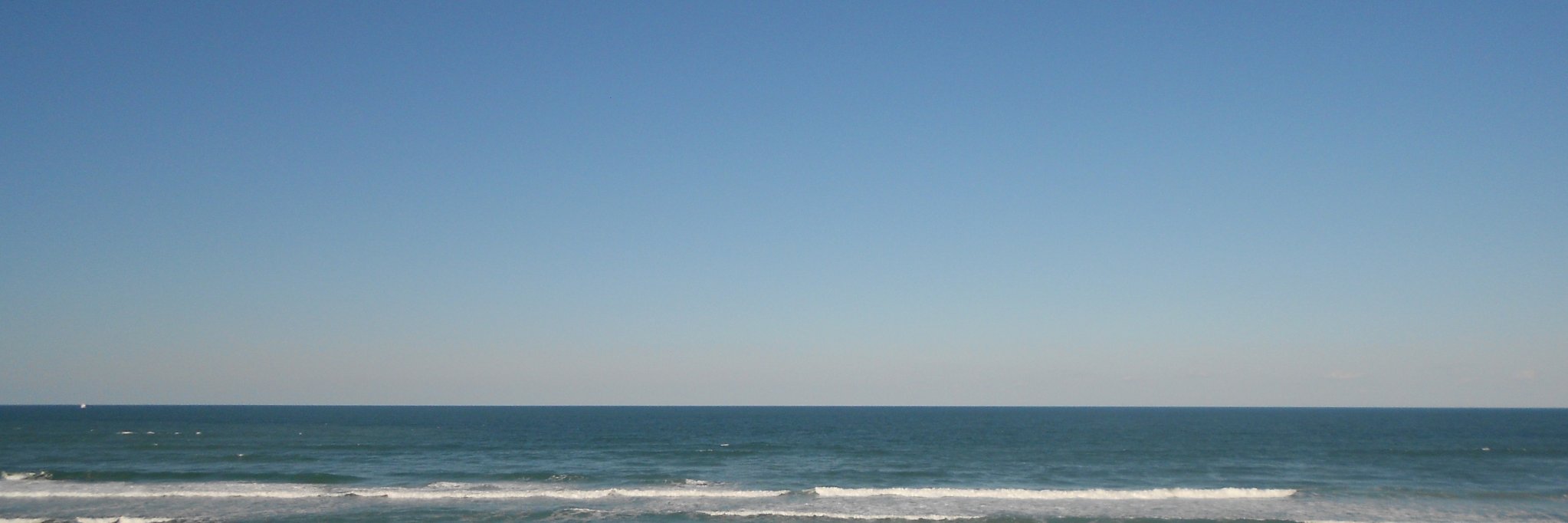 40trina's profile banner image