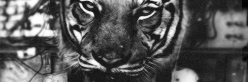 FaisonSaleem's profile banner image