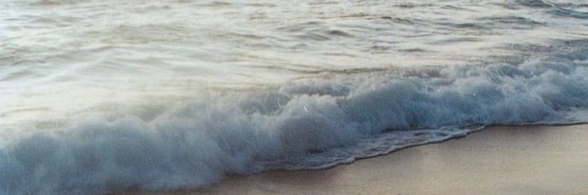 🍄 banner