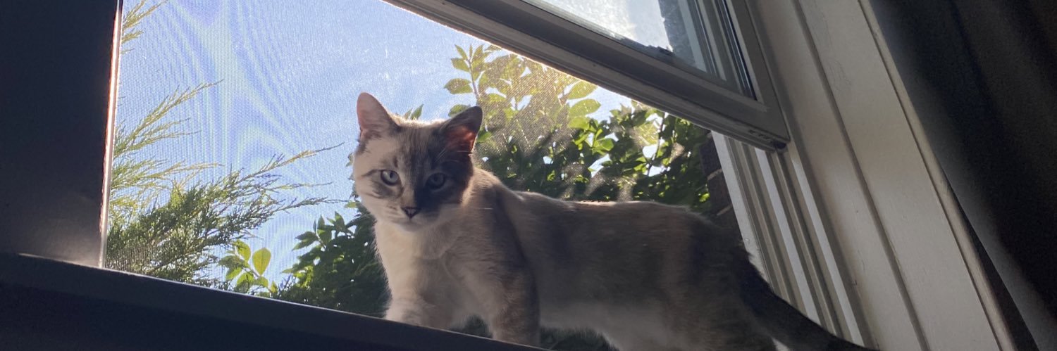 kaylabutler_'s profile banner image
