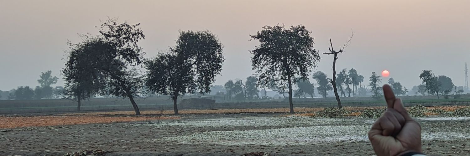 Irealbird's profile banner image