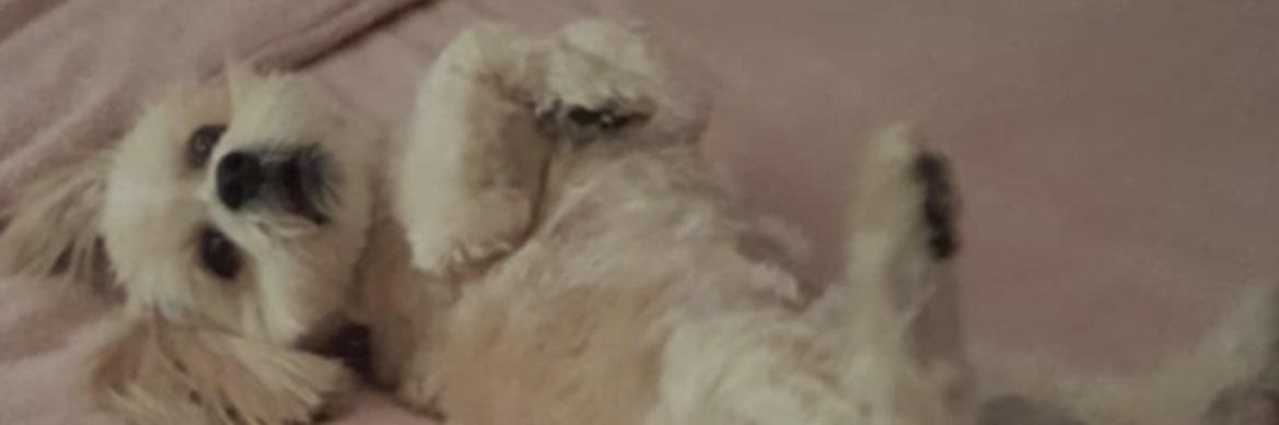 DanOhear's profile banner image