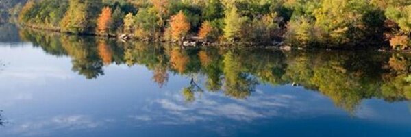 TVICtweets Profile Banner