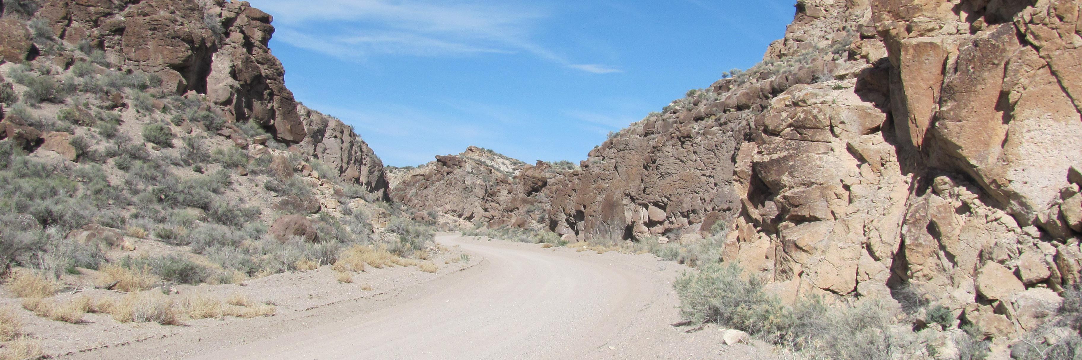 ProtectNevada's profile banner image