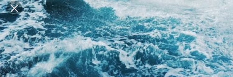 melissanosite's profile banner image