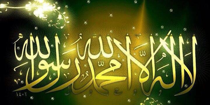 أحمد الليثي banner