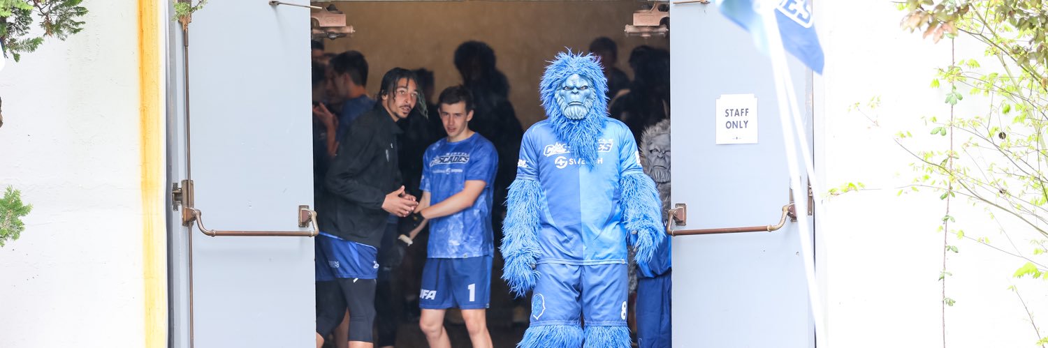 zeppelin raunig banner