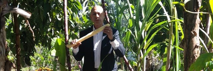SLachapel's profile banner image