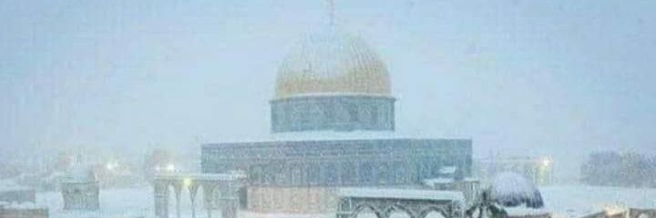 AlMukhtar المختار banner