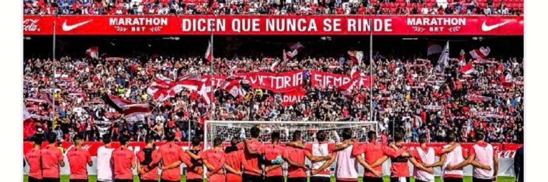 Borja Vega De Seoane Tornos banner
