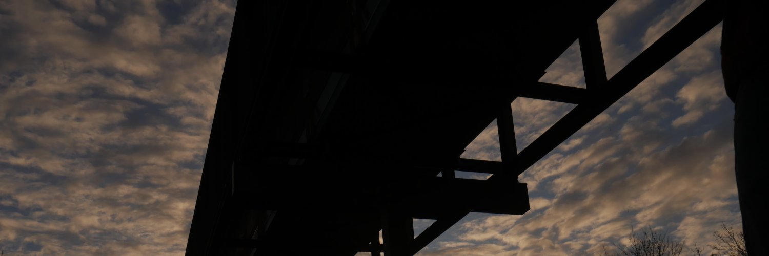 P banner