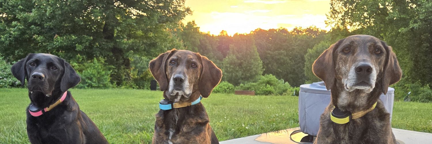 Dustin Mynatt, CAA banner