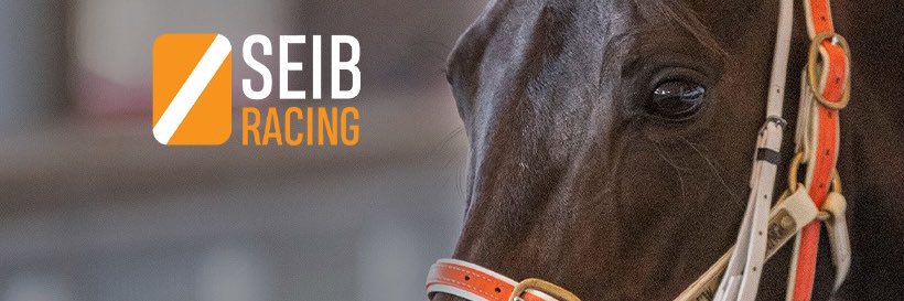 SeibRacing's profile banner image