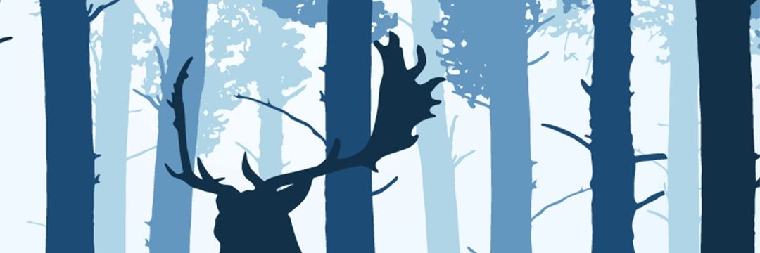 Sunight_L's profile banner image