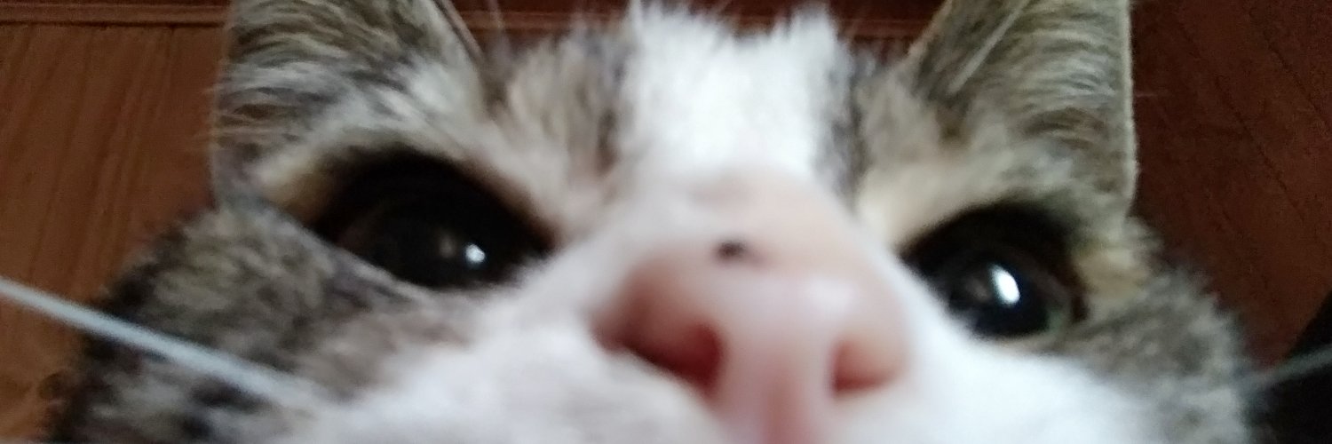 PameTorres25's profile banner image