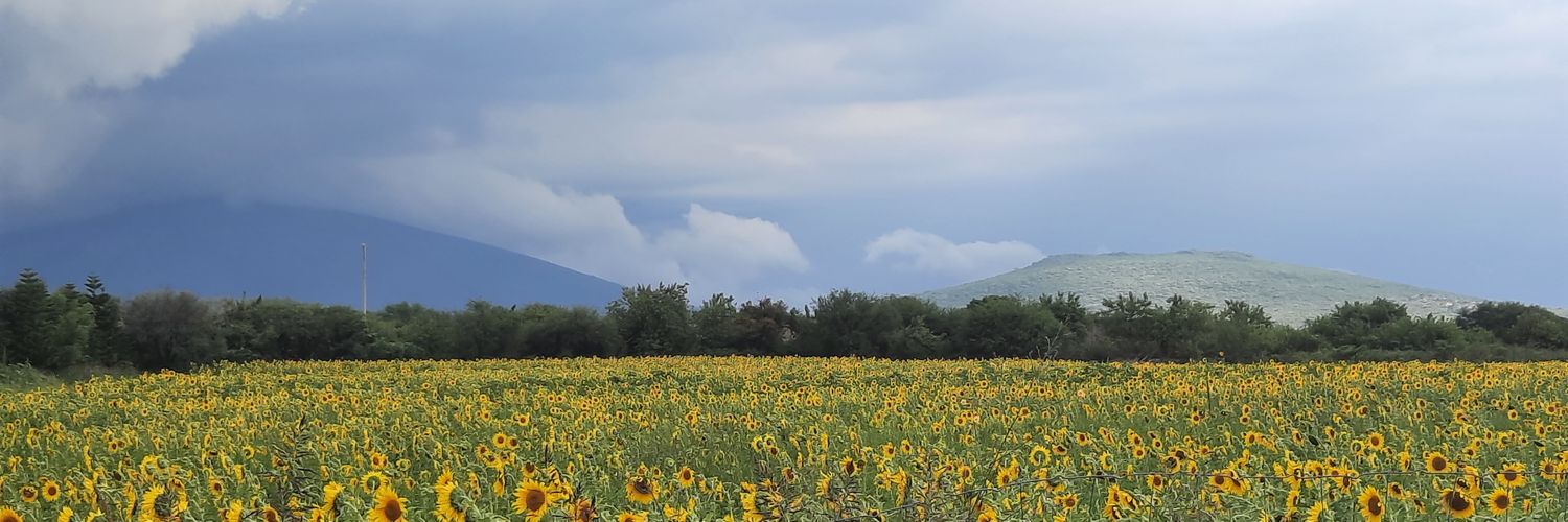 Jorggedario's profile banner image