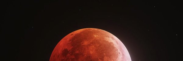 igorgomms Profile Banner