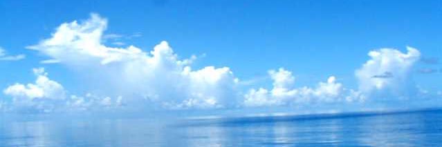 showtimeaaaa's profile banner image