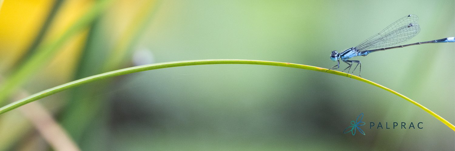 PALPRAC banner