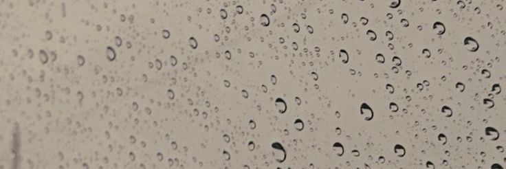 han banner