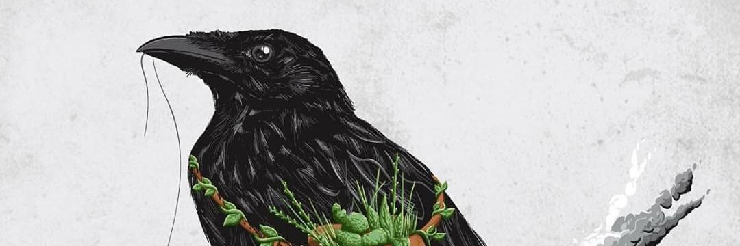 Horus_Soler's profile banner image