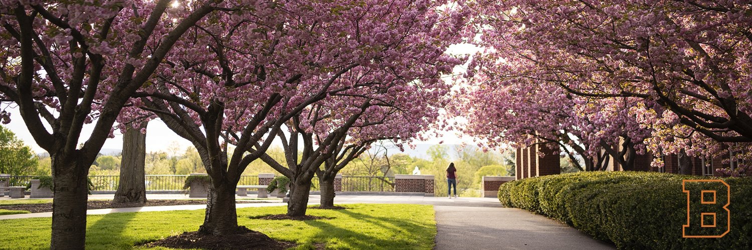 Bucknell College of Arts & Sciences banner