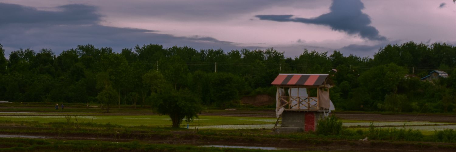 PalmTreeMeadow's profile banner image