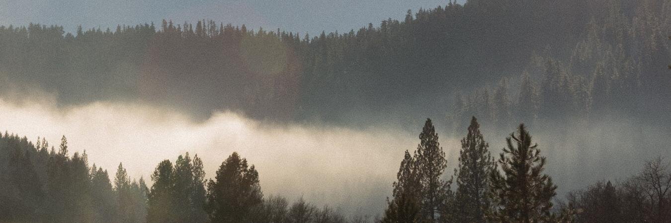 InvisibleMap's profile banner image