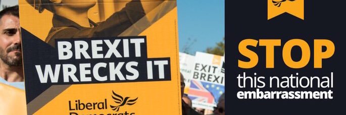 Rutland Liberal Democrats banner