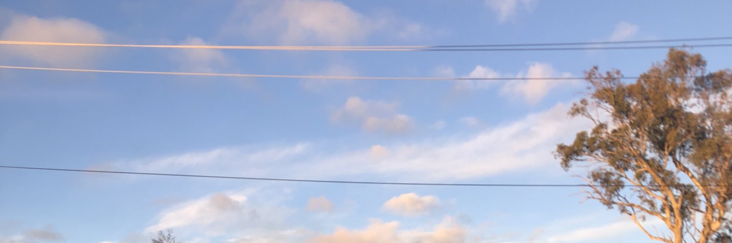 Anne_Rowlands's profile banner image