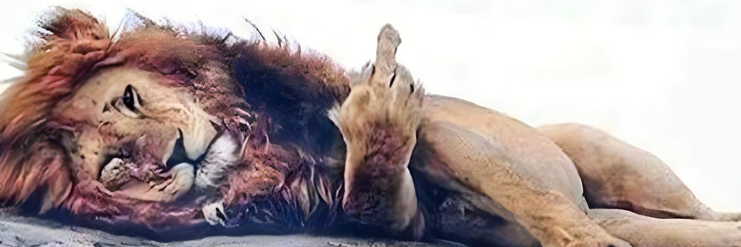حضرت موسی(شکافنده دریا) banner