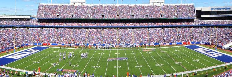 Jamie D’Amico banner
