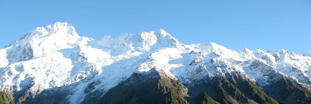 David Gradinaru banner