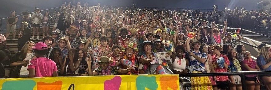 Dothan High Student Section banner