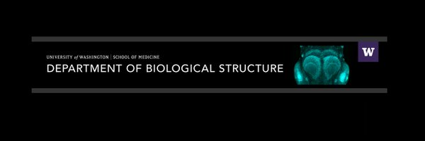 BioStructureUW Profile Banner