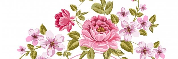 AwitNaomi's profile banner image