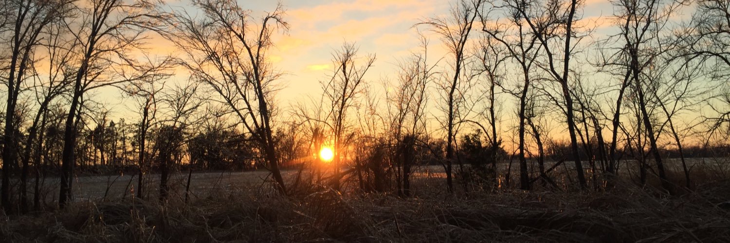 cdolson613's profile banner image