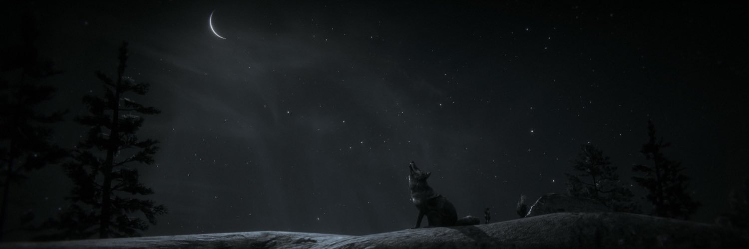 Nightwolf_dx's profile banner image