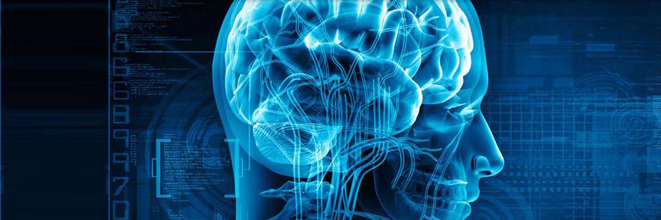 Mayo Clinic Neuro's banner