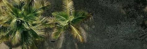 𝚋𝚕𝚊𝚌𝚔 𝚋𝚒𝚕𝚕 𝚐𝚊𝚝𝚎𝚜 ☆ banner