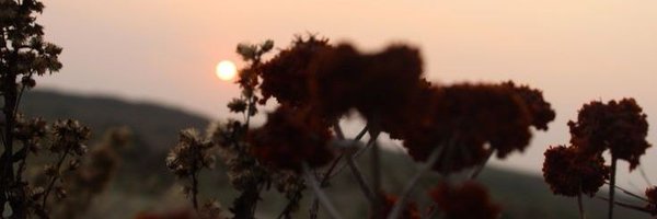 ayaserenat Profile Banner