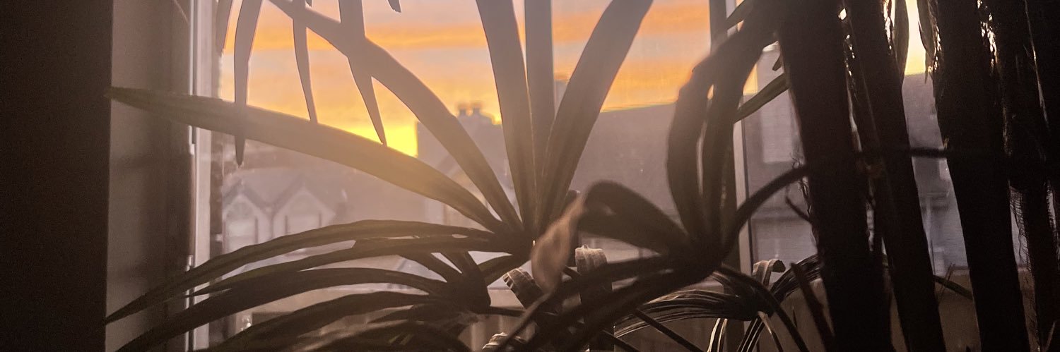 SirRoddd's profile banner image