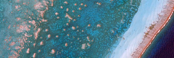 AllenCoralAtlas Profile Banner
