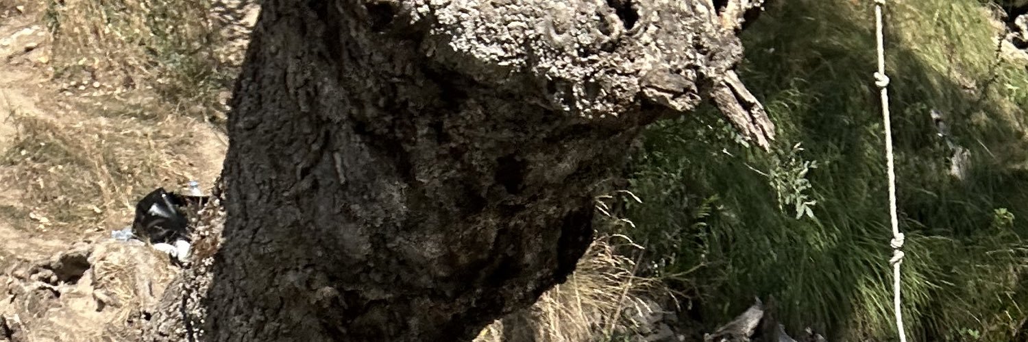 baIIesteros's profile banner image