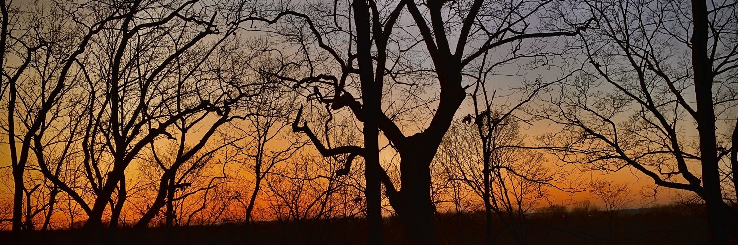 MitchellDickey's profile banner image