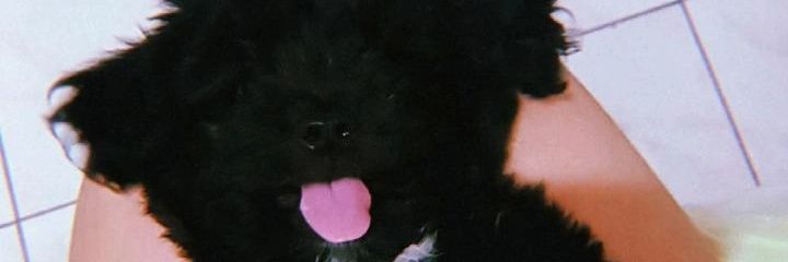 __j4myle's profile banner image