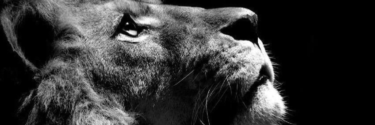 danynad05's profile banner image