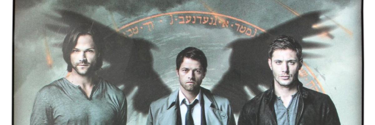 spnmommalion's profile banner image